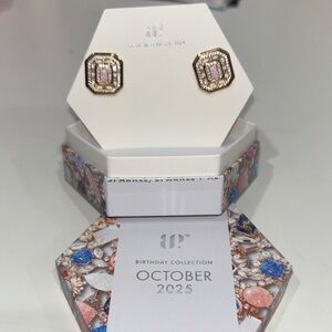 Elegant Gold and Silver Earrings